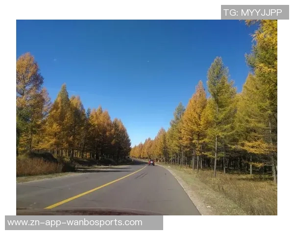 库明加谈未来心态:当下的选择决定明天的方向 库明加谈未来心态:当下的选择决定明天的方向